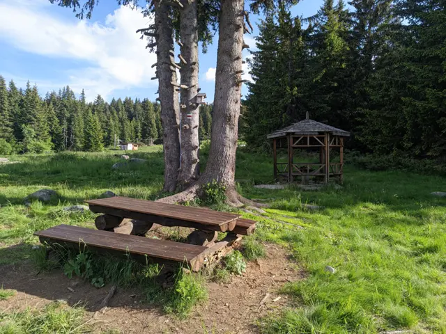 Zvezditsa Hut