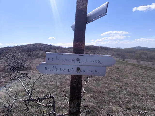 Голо бърдо