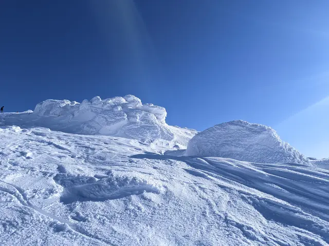 Витоша