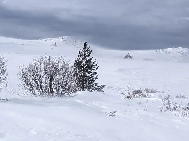 Витоша