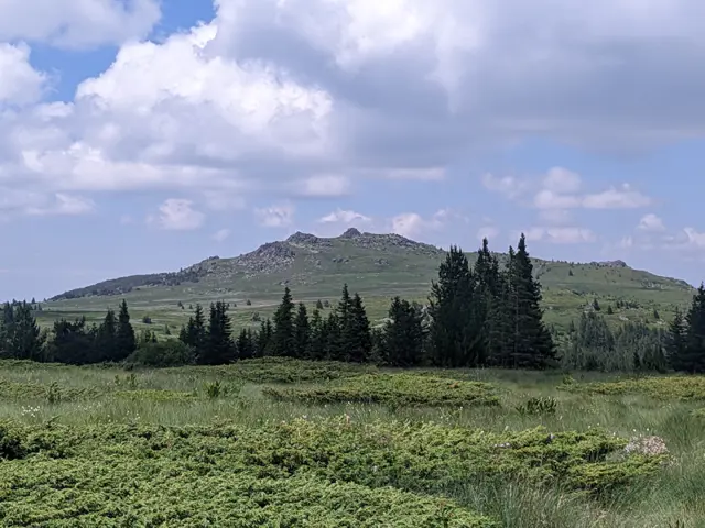 Връх Ушите