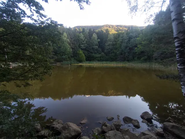 Boyana Lake