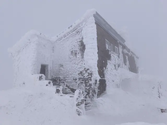 Черни връх