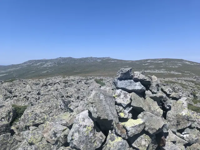 Купена