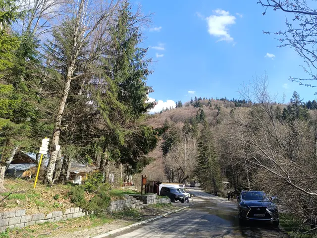 Златните мостове