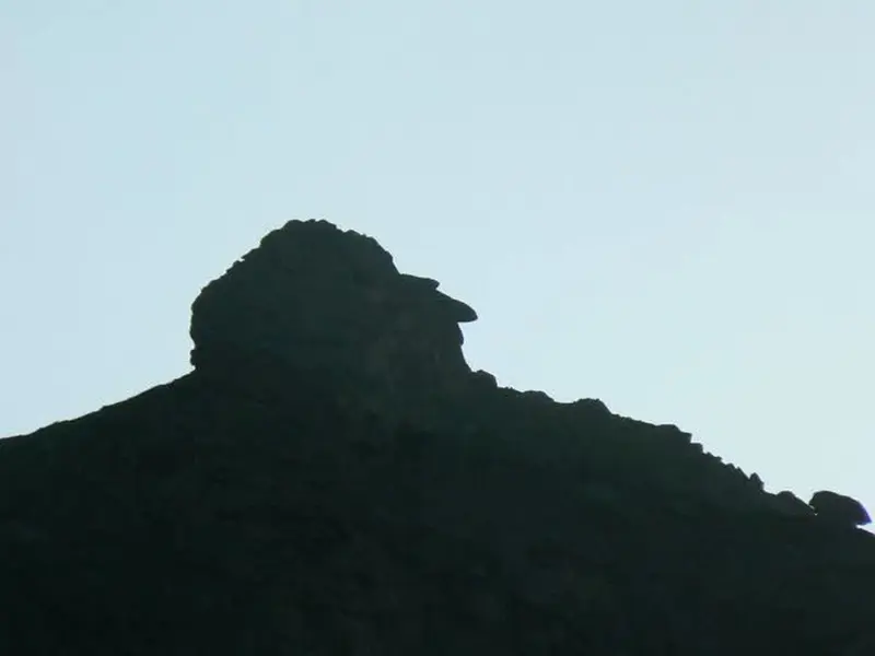 Връх Камилата