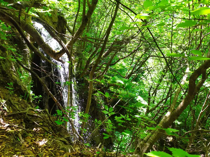 Futula Waterfall