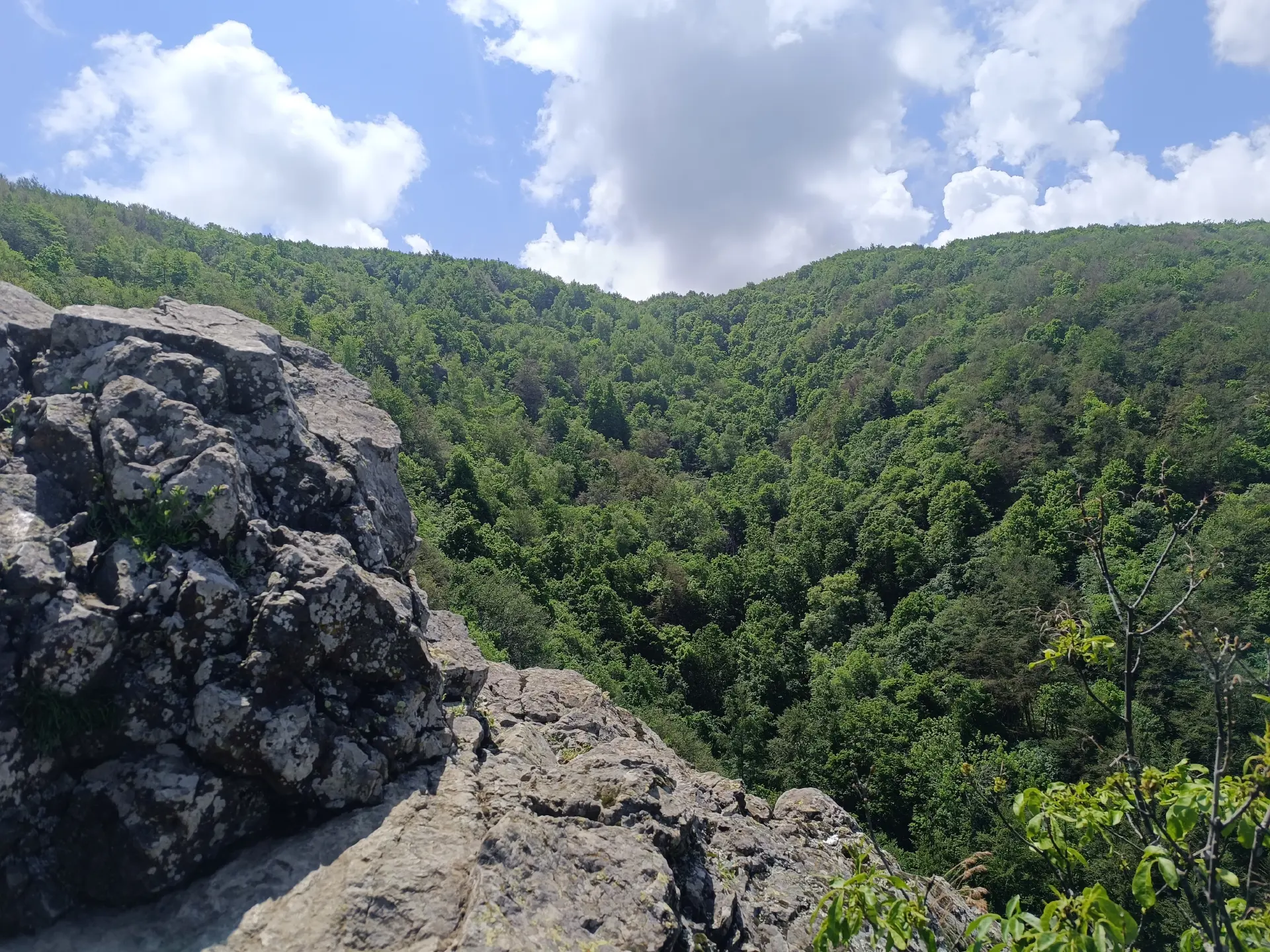 Boyana Inn – Boyana Church - Boyana Waterfall - Momina Skala Hut