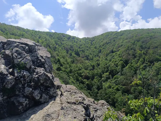 Boyana Inn – Boyana Church - Boyana Waterfall - Momina Skala Hut