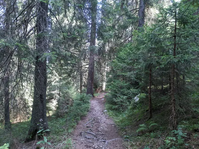 Lovna Hut – Vada Hut