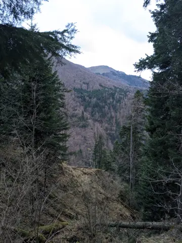 Trail to Turnoff for Vezhen Hut and Benkovski Hut