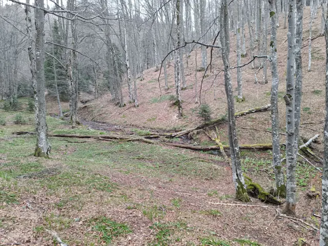 Trail to Turnoff for Vezhen Hut and Benkovski Hut
