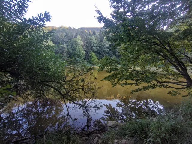 Boyana Lake