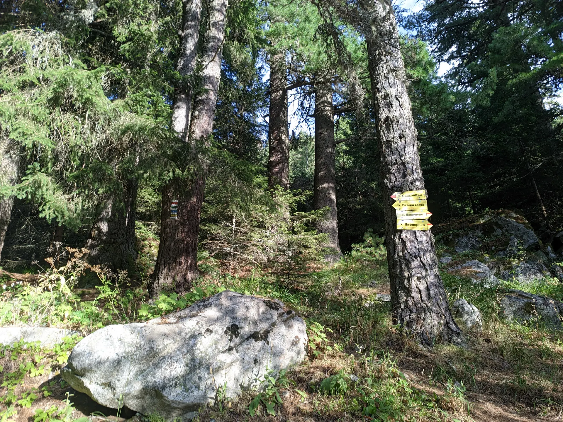 Visitor and Tourist Information Center of National Park "Rila" – Panichishte – Skakavitsa Hut