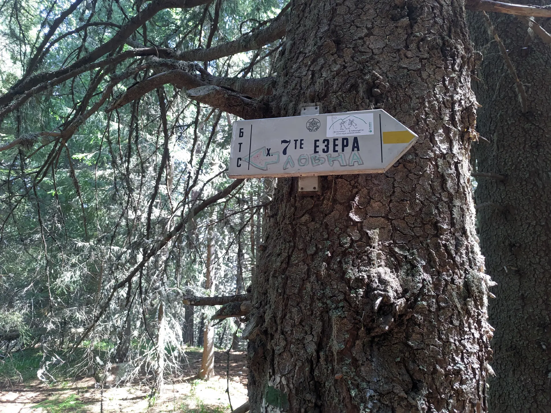Junction between the trails for Lovna Hut and Pioneerska Hut