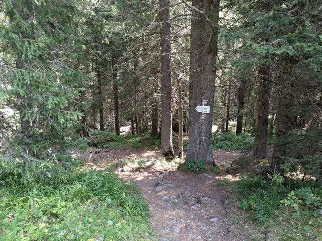 Lovna Hut – Vada Hut