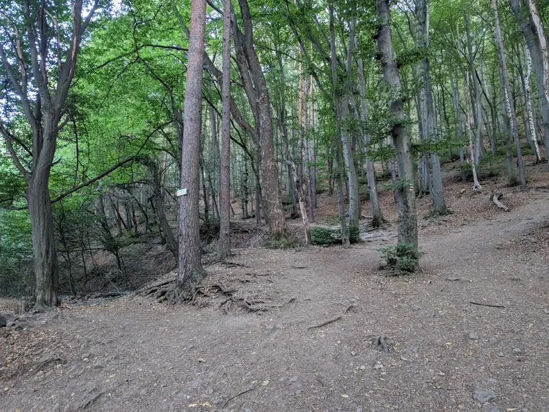 Junction for the low-mountain trail