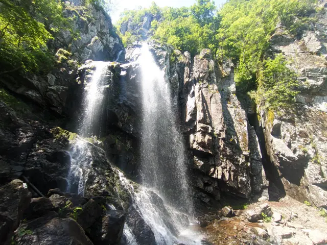 Boyana Inn – Boyana Church - Boyana Waterfall - Momina Skala Hut
