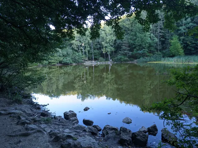 Boyana Lake