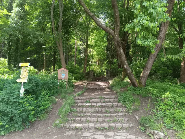 Boyana Inn – Boyana Church - Boyana Waterfall - Momina Skala Hut